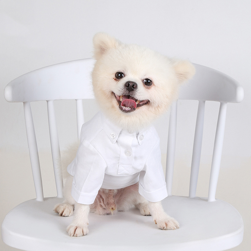 Summer Dog Clothing - 봄과 가을 애완 동물 바닥 셔츠