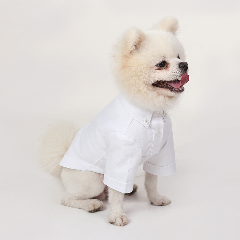 봄과 가을 애완 동물 바닥 셔츠 다목적 슬림 개 옷 부 - Summer Dog Clothing 리뷰 및 가격